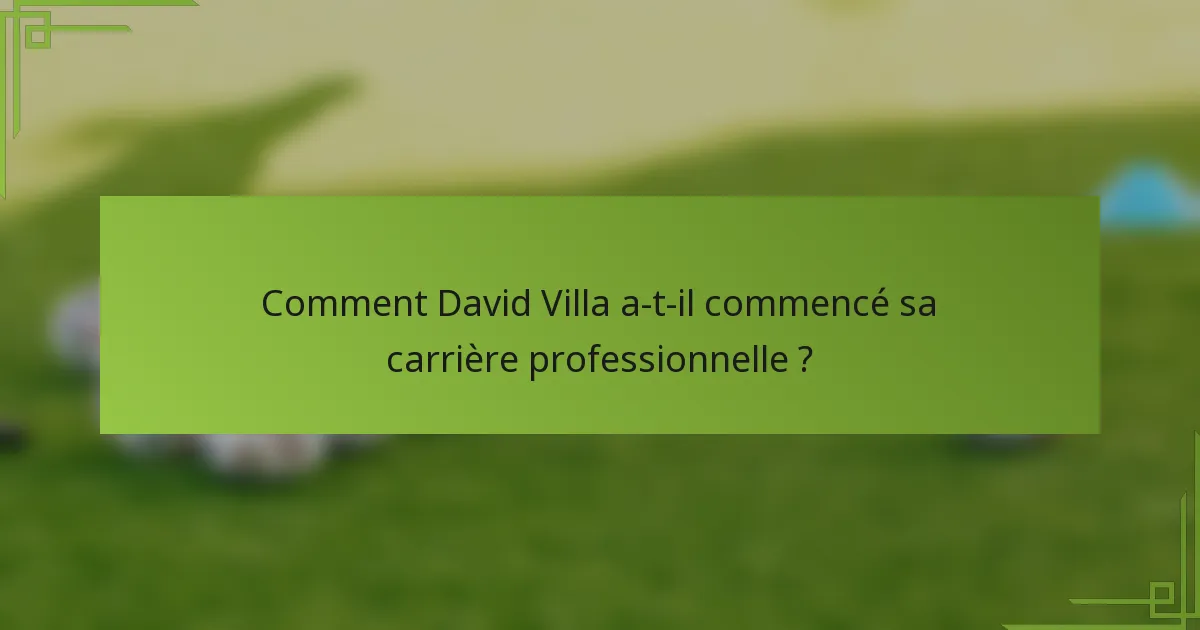 Comment David Villa a-t-il commencé sa carrière professionnelle ?