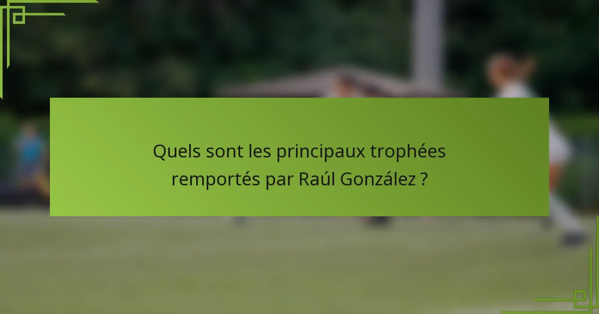 Quels sont les principaux trophées remportés par Raúl González ?