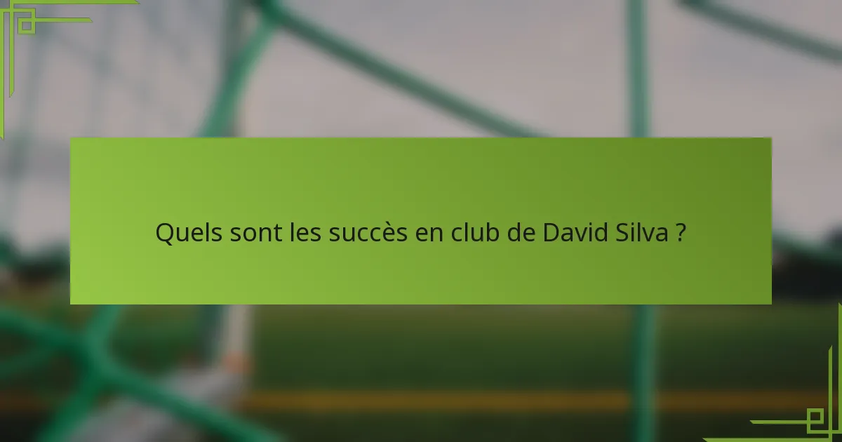 Quels sont les succès en club de David Silva ?
